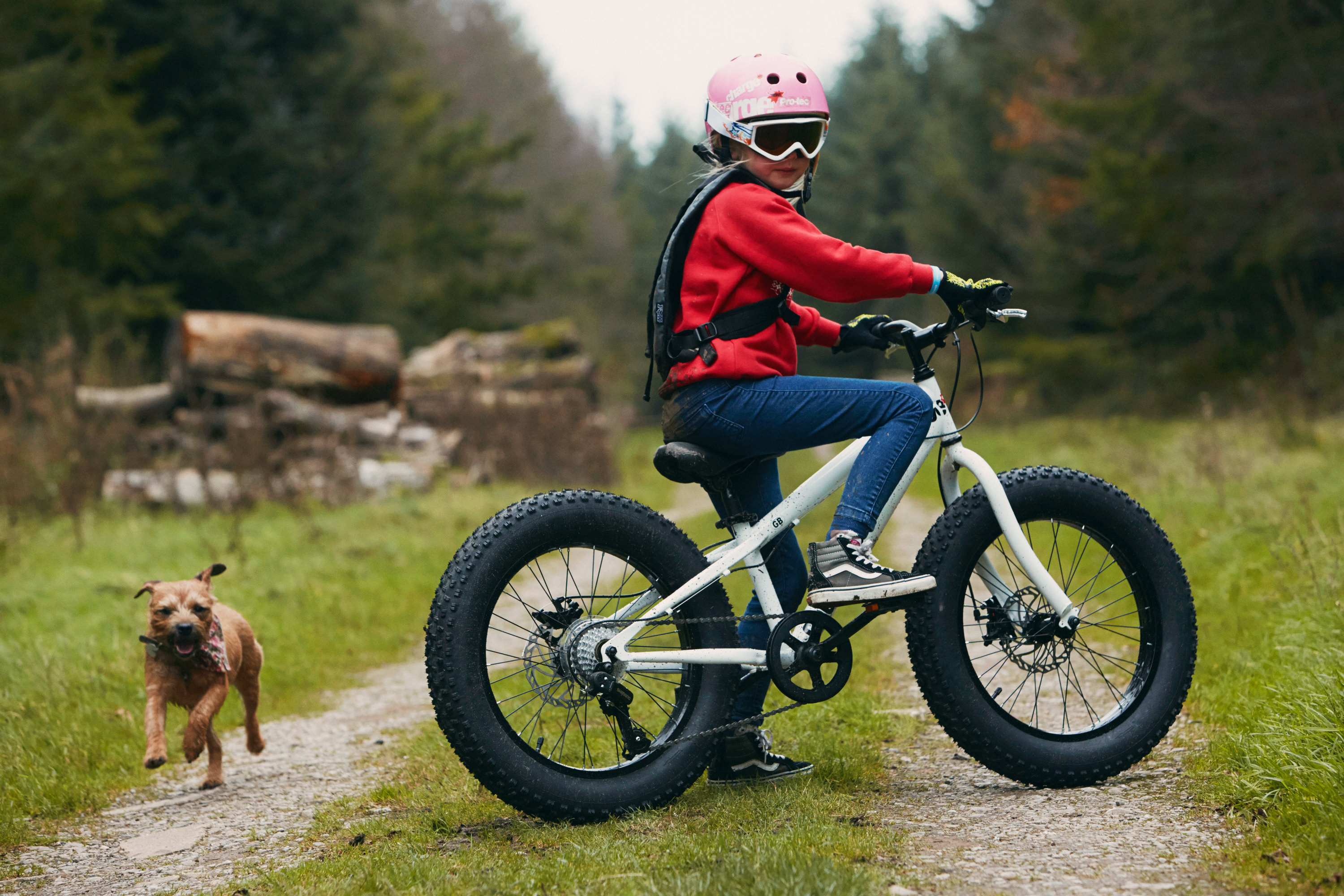 Weird Squirrel consultant Bicicleta infantil: tudo que você precisa saber